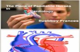 The Place of Paediatric Nurses in Cardiology.pps