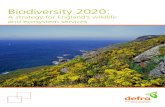 Biodiversity 2020 - A strategy for England's Wildlife and Ecosystem Services.pdf