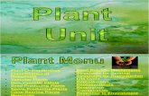 plant powerpoint_all standards.ppt