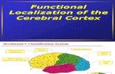 Functional Localization of the Cerebral Cortex