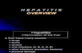 2. hepatitis overview.ppt