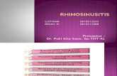 BST Rhinosinusitis.pptx