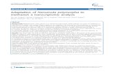Adaptation of Hansenula polymorpha to methanol- a transcriptome analysis.pdf