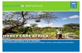 Case Studies UNDP: HONEY CARE AFRICA, Kenya