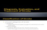 Stroke Diagnosis, Evaluation, And Treatment of