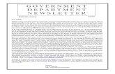 Government Department Newsletter Fall 2013