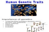 024a Human Genetics.ppt