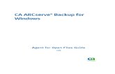 CA ARCserve Backup for Windows Agent Guía para Open Files