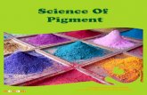 Science of Pigment – Mocomi.com