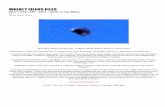 UFO - Filer's Files #30 - 2012 - UFOs in the Bible
