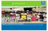Case Studies UNDP: INSTRUMENT OF PEACE SCHOOL, Niger
