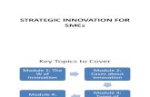 Strategic Innovation for Smes