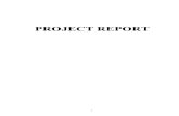 37039488 Ratio Analysis Project Report