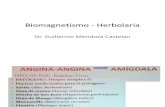 Biomagnetismo - Herbolaria