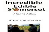 Incredible Edible Somerset - Call to Action