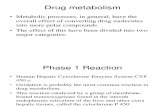 DRUG METABOLITE-REACTION AND CONJUGATION