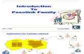 04 Pasolink Overview