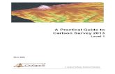 APG Carlson Survey 2013 L1 TOC Sample