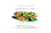 Eating Raw for a Day E-book