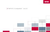 SPSS Conjoint 14.0