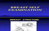 Breast Ppt