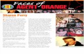 Sharon L. Perry, Faces of Agent Orange