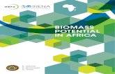 IRENA-DBFZ_Biomass Potential in Africa