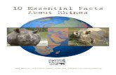 10 Essential Facts About Rhinos ►