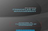 Principles of Management-Chapter 10 & 11( Organizing)