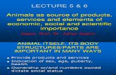 Lecture 5 & 6- Products