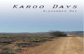 Karoo Days - Alexander May