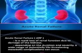 Acute Renal Failure Final