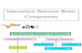 01 Interaction Between Biotic Components