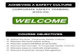 Achieving a Safety Culture