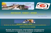 04. OHSAS 18001 - BT