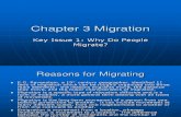 Migration Key Issues