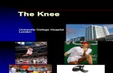 Acute Injuries of the Knee