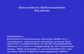 Executive Info Sys
