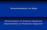 Examination of Eye Pt I