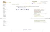 Manual Vagcom Espanol