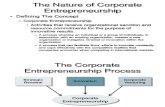 Corprate Entrepreneurship