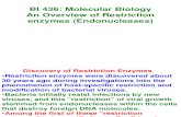 Restriction Endonuklease