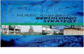Hurrican Rebuilding Strategy for Climate Resilience