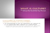 Intro-sociology: Culture