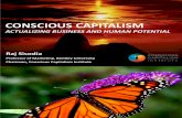 Raj Sisodia Conscious Capitalism Presentation BVC South Africa