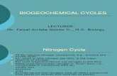 Bio Geo Chemical Cycles