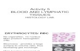Activity 5 - Blood and Lymphatic Tissues