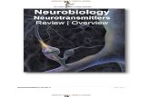 IVMS Neuro-Neurotransmitters Overview / Review
