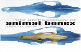 O'Connor - The Archaeology of Animal Bones