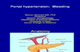 Gastroenterology and Hepatology - Portal Hypertension and Bleeding